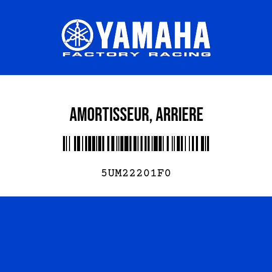 AMORTISSEUR, ARRIERE