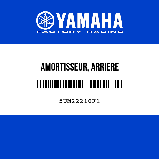 AMORTISSEUR, ARRIERE