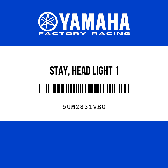 STAY, HEAD LIGHT 1