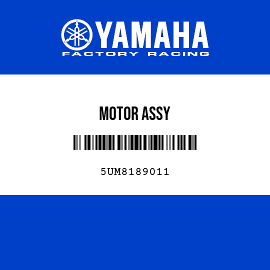MOTOR ASSY