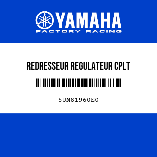 REDRESSEUR REGULATEUR CPLT