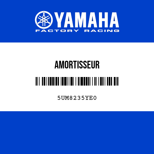 AMORTISSEUR