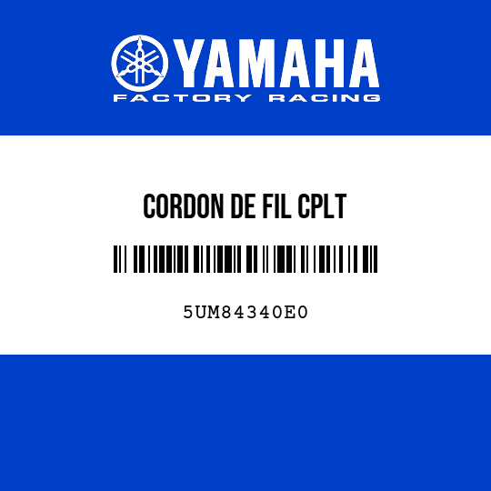 CORDON DE FIL CPLT