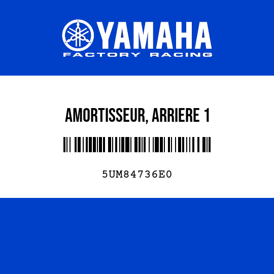 AMORTISSEUR, ARRIERE 1