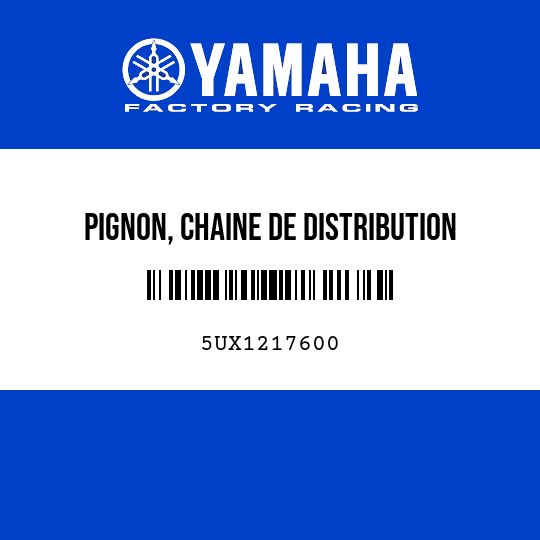 PIGNON, CHAINE DE DISTRIBUTION