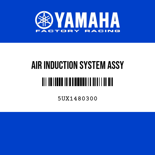 AIR INDUCTION SYSTEM ASSY