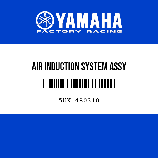 AIR INDUCTION SYSTEM ASSY