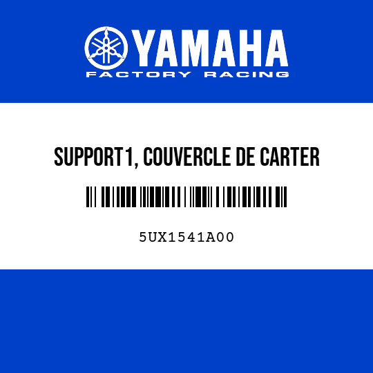 SUPPORT1, COUVERCLE DE CARTER