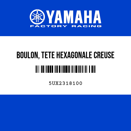 BOULON, TETE HEXAGONALE CREUSE