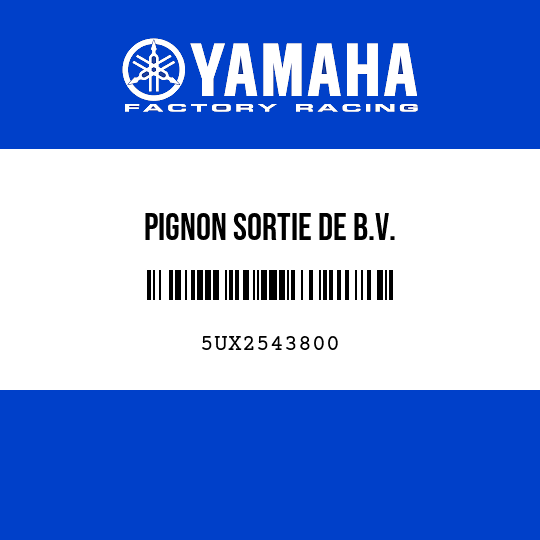 PIGNON SORTIE DE B.V.