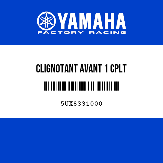 CLIGNOTANT AVANT 1 CPLT
