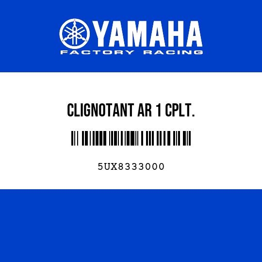 CLIGNOTANT AR 1 CPLT.