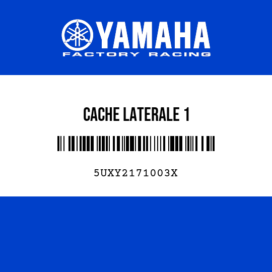 CACHE LATERALE 1