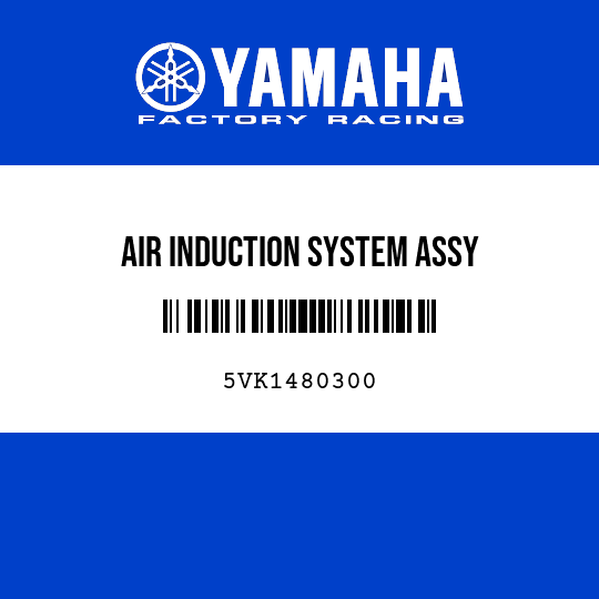 AIR INDUCTION SYSTEM ASSY