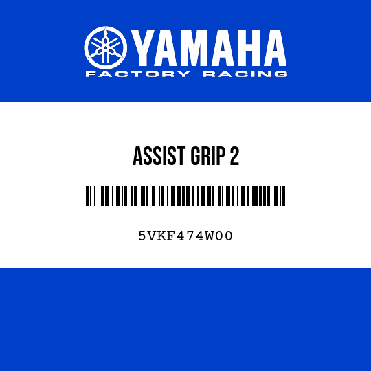 ASSIST GRIP 2