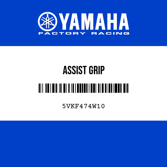 ASSIST GRIP