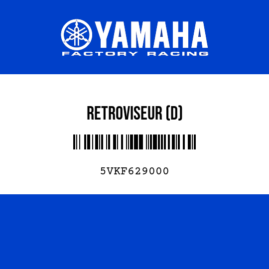 RETROVISEUR (D)