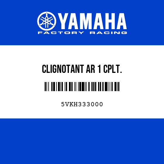 CLIGNOTANT AR 1 CPLT.