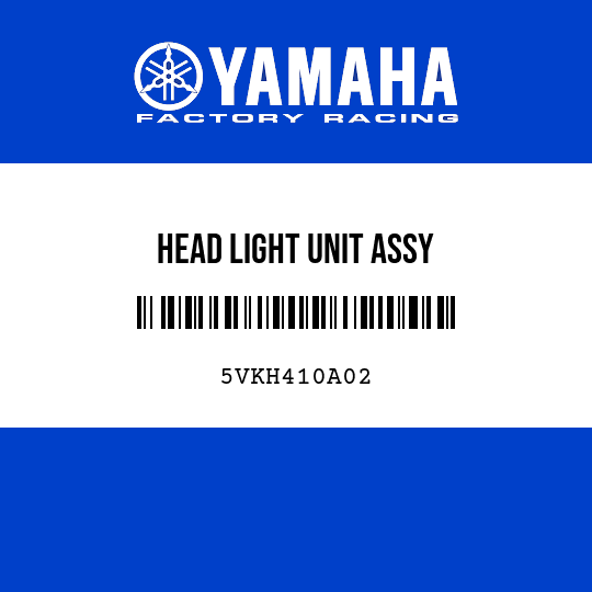 HEAD LIGHT UNIT ASSY