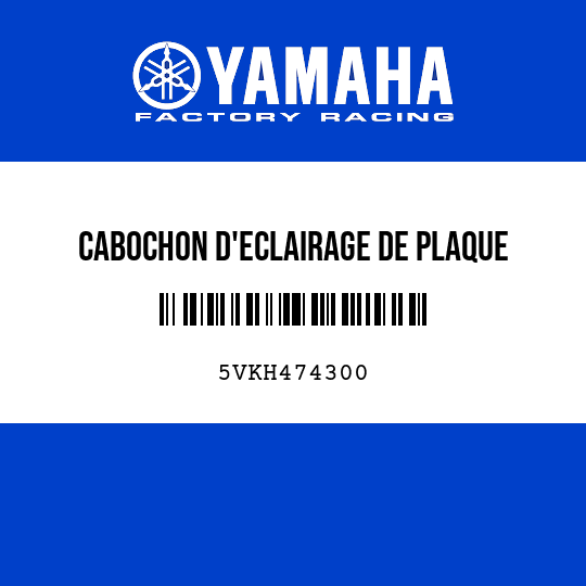 CABOCHON D'ECLAIRAGE DE PLAQUE