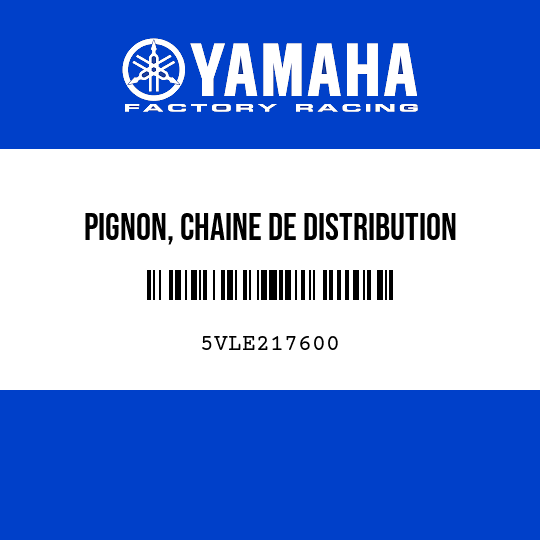 PIGNON, CHAINE DE DISTRIBUTION