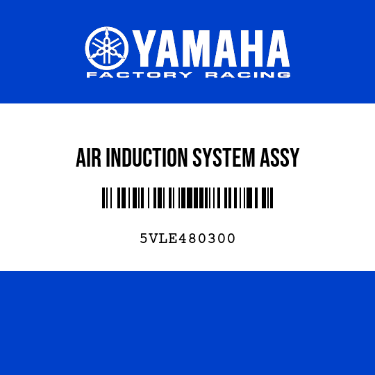 AIR INDUCTION SYSTEM ASSY