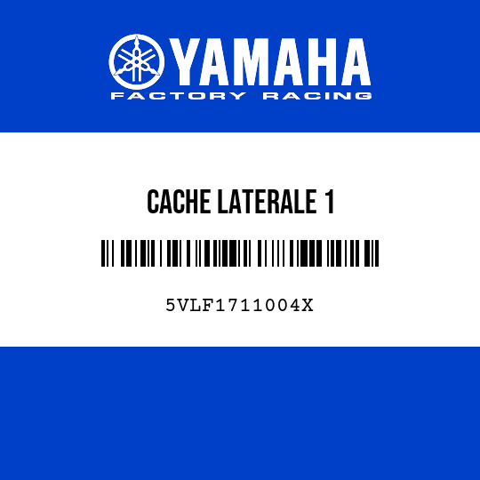 CACHE LATERALE 1