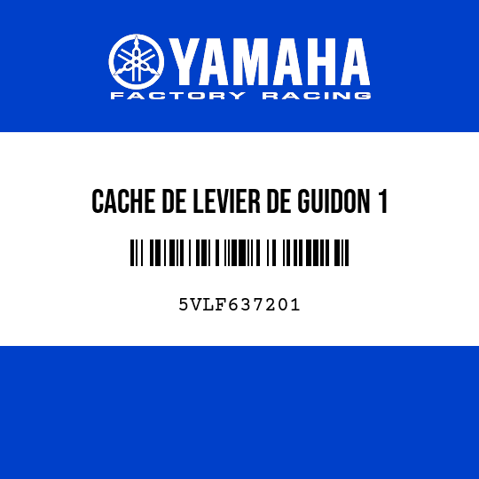 CACHE DE LEVIER DE GUIDON 1