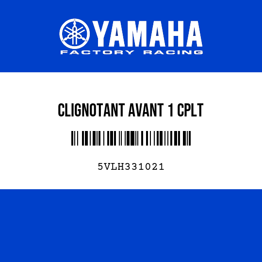 CLIGNOTANT AVANT 1 CPLT
