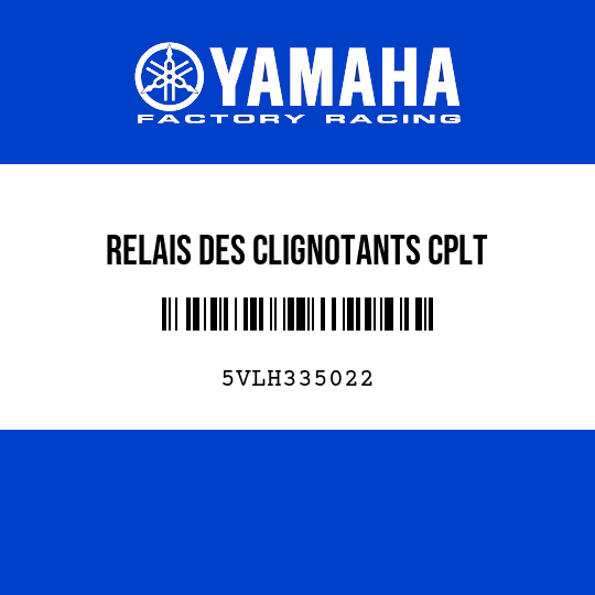 RELAIS DES CLIGNOTANTS CPLT
