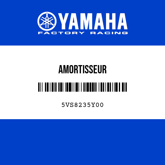 AMORTISSEUR