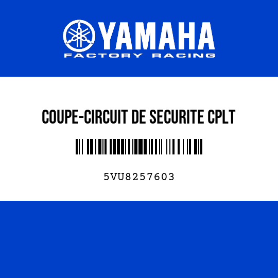 COUPE-CIRCUIT DE SECURITE CPLT