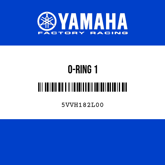 O-RING 1