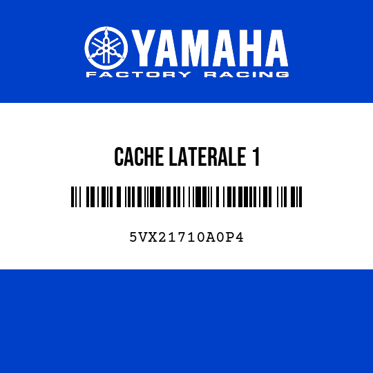 CACHE LATERALE 1