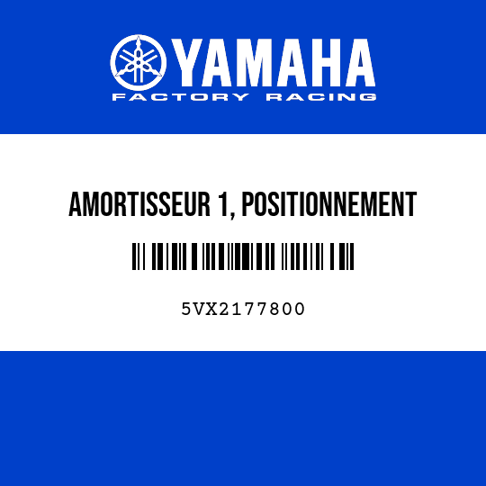 AMORTISSEUR 1, POSITIONNEMENT