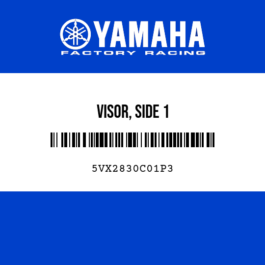 VISOR, SIDE 1