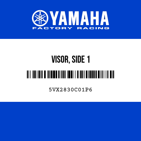 VISOR, SIDE 1
