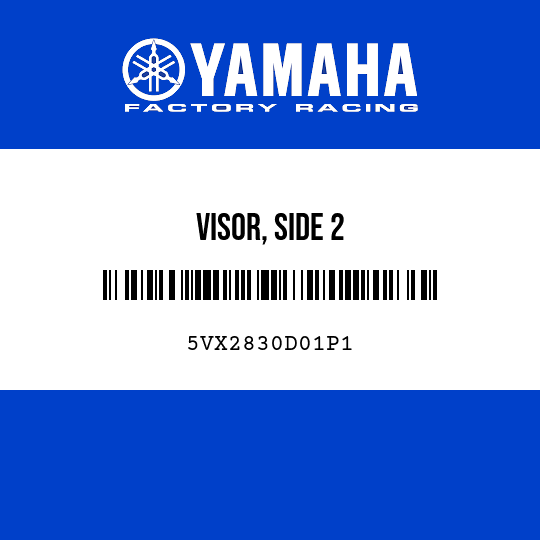 VISOR, SIDE 2