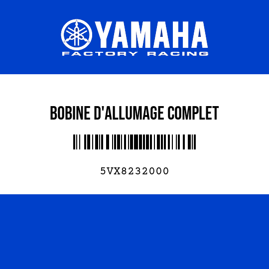 BOBINE D'ALLUMAGE COMPLET