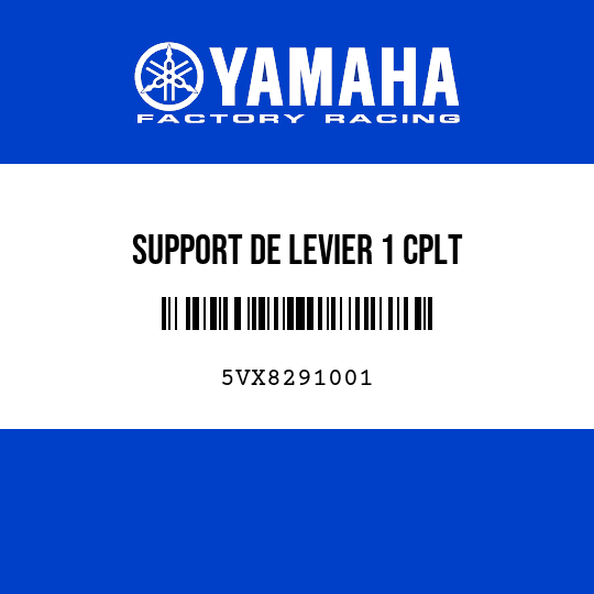 SUPPORT DE LEVIER 1 CPLT