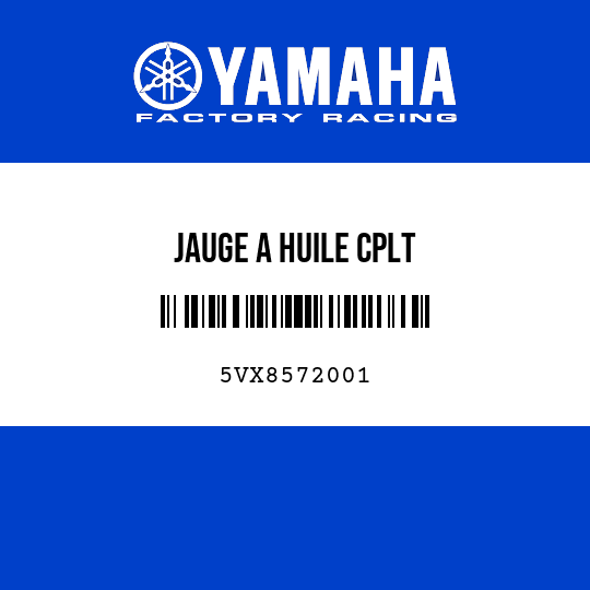 JAUGE A HUILE CPLT