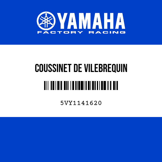 COUSSINET DE VILEBREQUIN