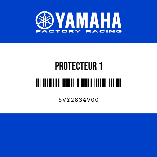 PROTECTEUR 1