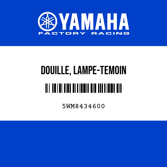 DOUILLE, LAMPE-TEMOIN