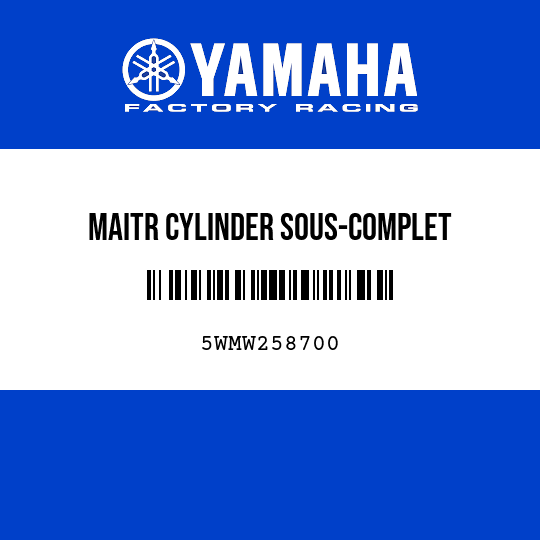 MAITR CYLINDER SOUS-COMPLET