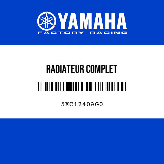 RADIATEUR COMPLET