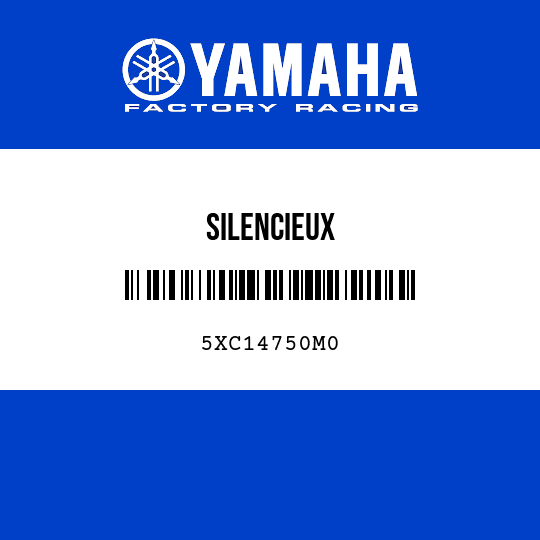 SILENCIEUX