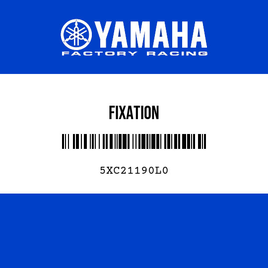 FIXATION