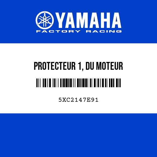 PROTECTEUR 1, DU MOTEUR