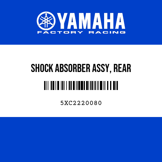 SHOCK ABSORBER ASSY, REAR